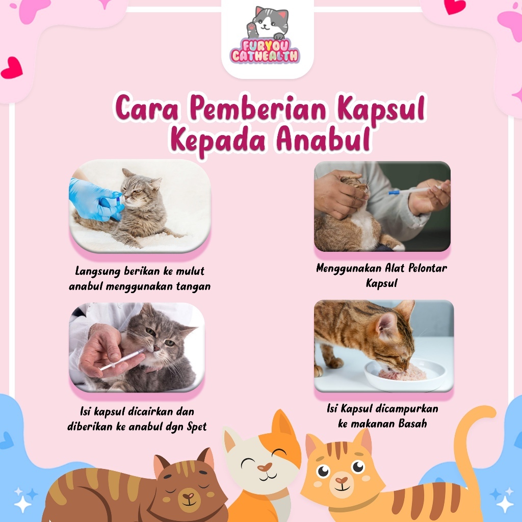 Jual Furyou Kapsul Batuk Pilek Anabul atuk Disertai Flu Ingusan Bersin ...