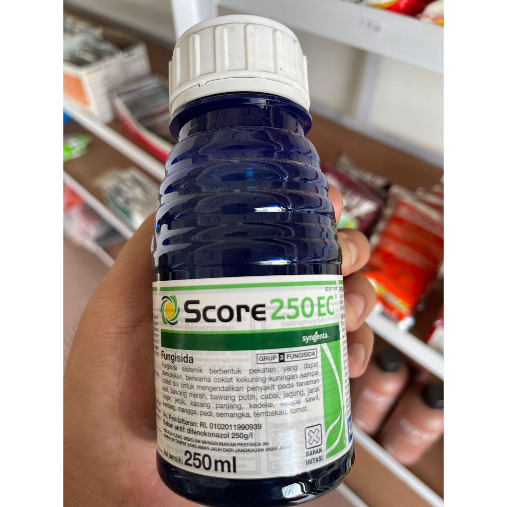 Jual SCORE 250EC ORIGINAL FUNGISIDA SISTEMIK UKURAN 250ML | Shopee ...