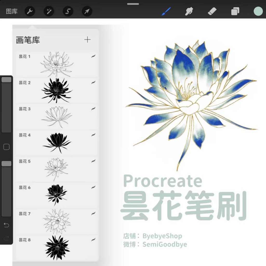 Jual Procreate Brush - Epiphyllum Flower Stamp | Shopee Indonesia