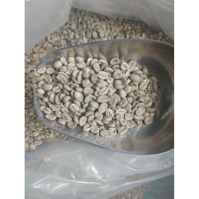 Jual KOPI ARABIKA TIMOR LESTE PETIK MERAH 1KG SORTIR | Shopee Indonesia