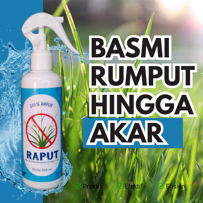 Jual RAPUT Racun Pembasmi Rumput Liar Paling Ampuh Sampai Akar Siap ...