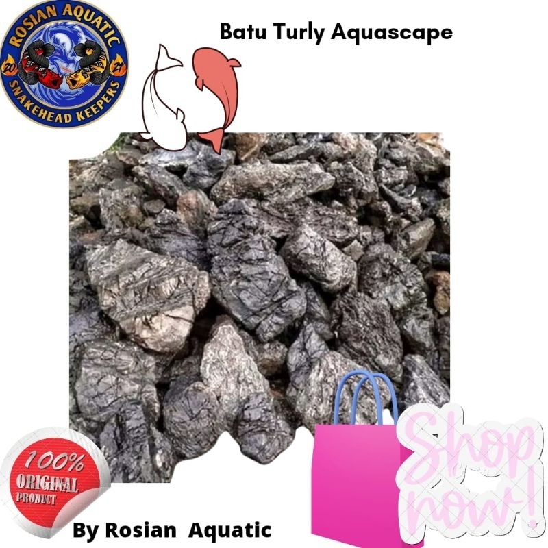 Jual Batu Turly Aquascape 1 kg/ Turly Aquascape | Shopee Indonesia