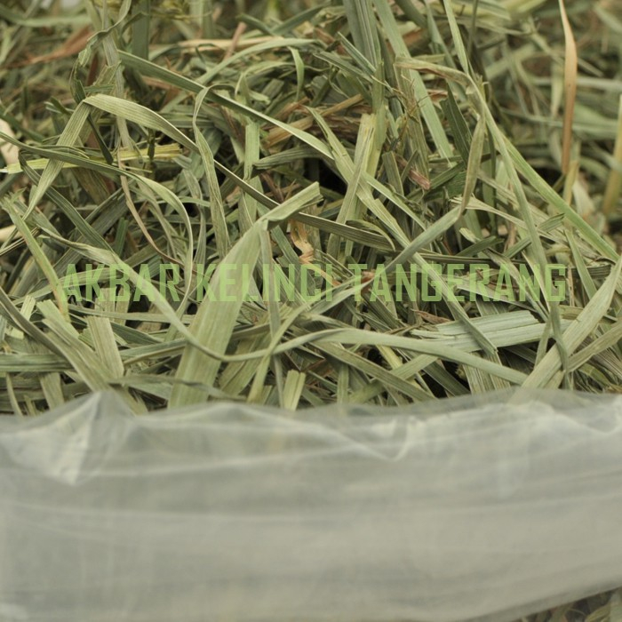 Jual Orchard Hay 1 kg RHH Rumput Hay Orchard Rabbit Hole Hay 1kg rumput ...
