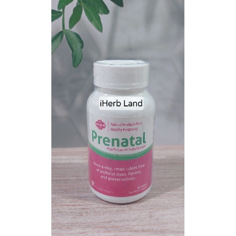 Jual Fairhaven Health PEAPOD Prenatal Multivitamin Supplement Ibu Hamil ...