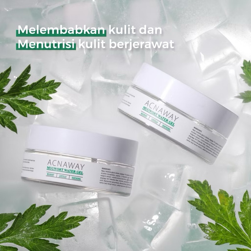 Jual ACNAWAY Mugwort Water Gel Moisturizer with Mugwort + Centella ...