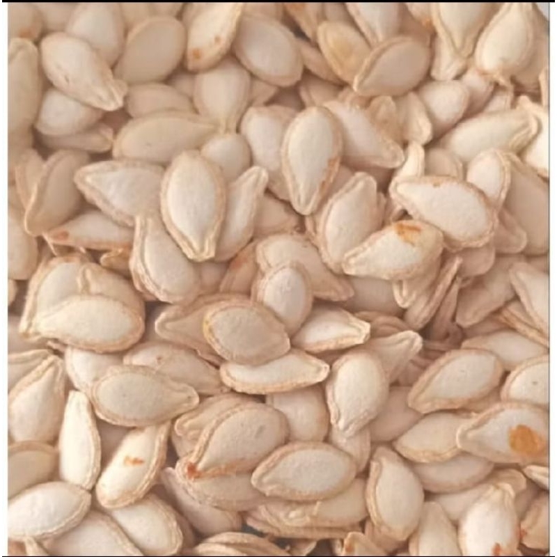 Jual BENIH WALOH MANIS PULEN LEGIT SUPER JUMBO KUALITAS | Shopee Indonesia
