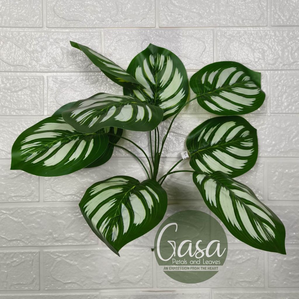 Jual Tanaman Calathea With Ash - Artifisial Semi Lateks - GASA PETALS ...