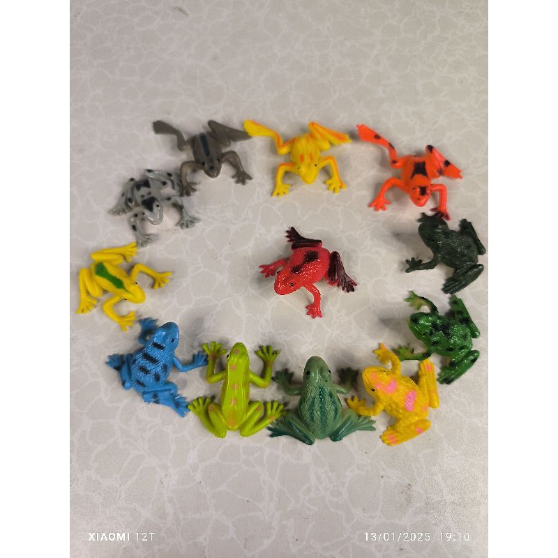 Jual mainan kodok karet mini warna harga satuan | Shopee Indonesia