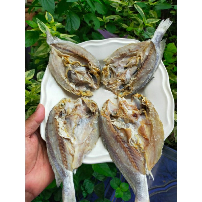 Jual Ikan Asin Samge/Ikan Asin Gulama/Ikan Asin Kepala Batu Belah 500 ...