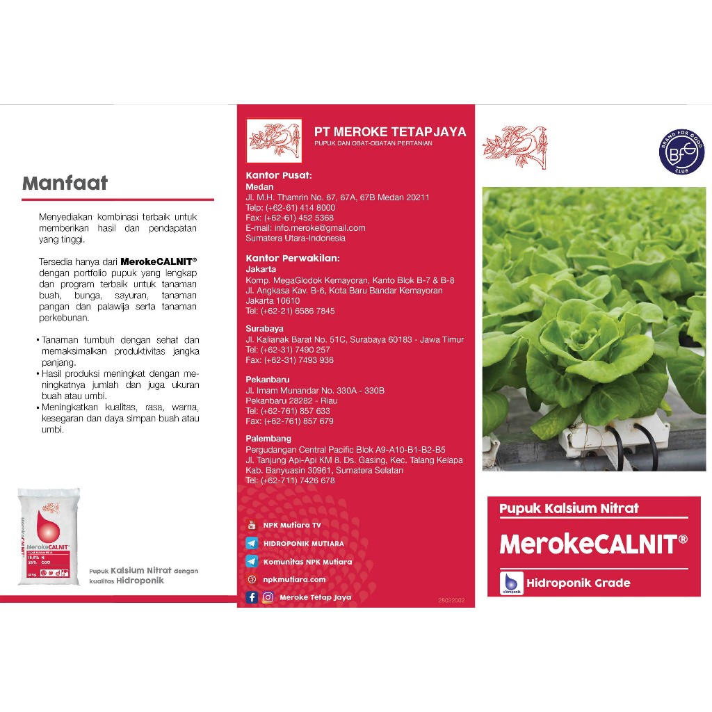 Jual CALNIT Kemasan 1 KG Pupuk Kalsium Nitrat untuk Nutrisi Hidroponik ...