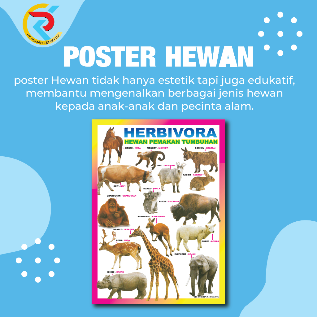 Jual Poster Edukasi Anak Aneka Hewan 6 | Hiasan Dinding Ruangan Kelas ...