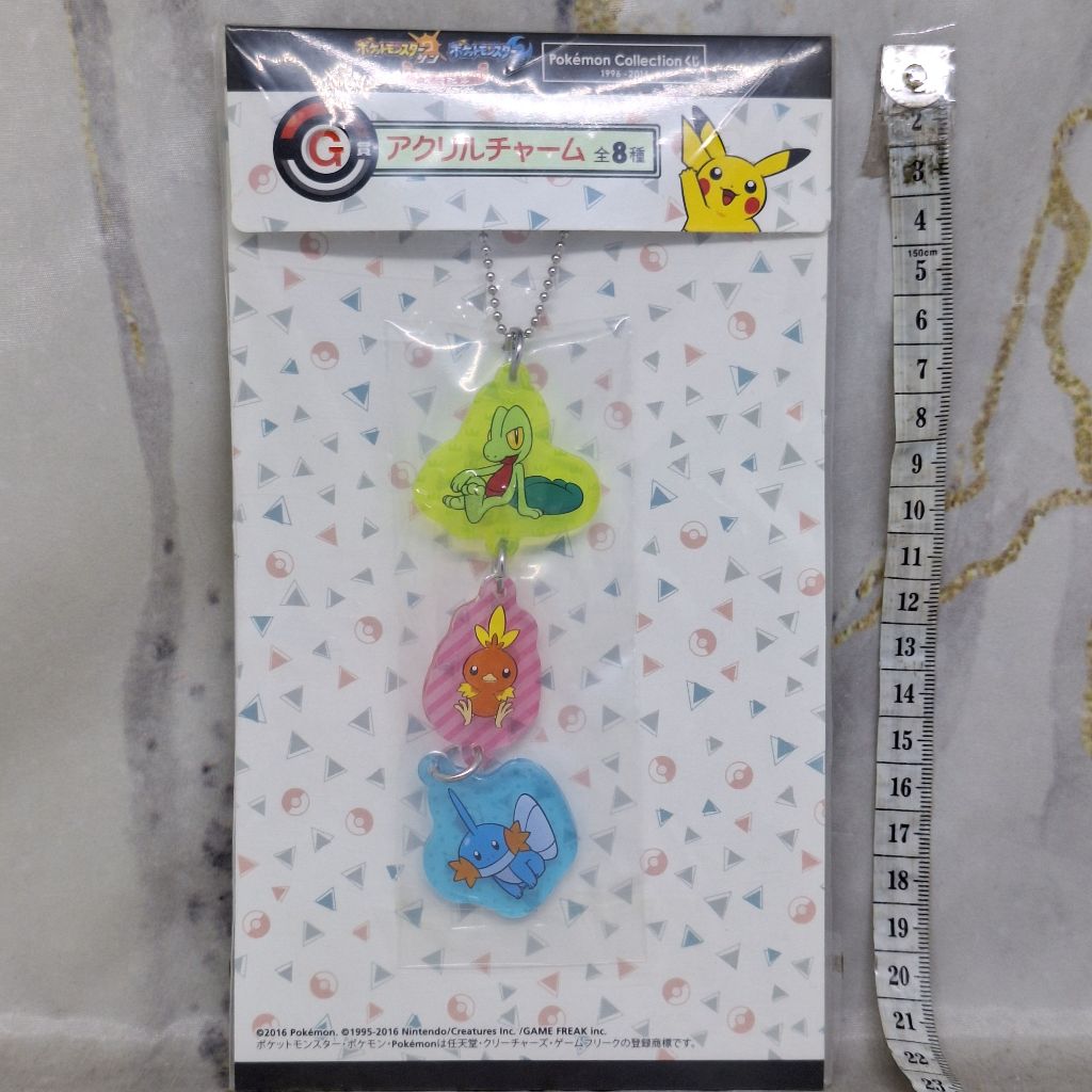 Jual Treecko Torchic Mudkip Acrylic Keychain Gantungan Kunci Akrilik ...