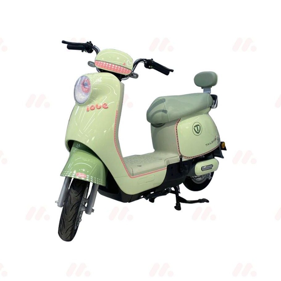Jual Sepeda Listrik Dewasa TAILG GR52 Baterai Tahan Lama dan
