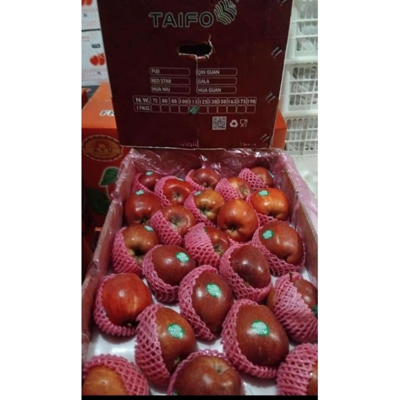 Jual Indukbuah Apel Merah Hua Niu China 1 Dus ±17kg | Shopee Indonesia