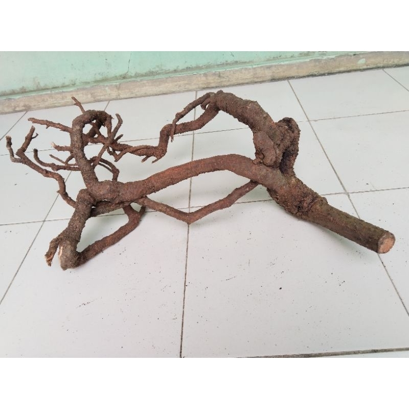 Jual bongol kayu gunung aquascape, alami | Shopee Indonesia