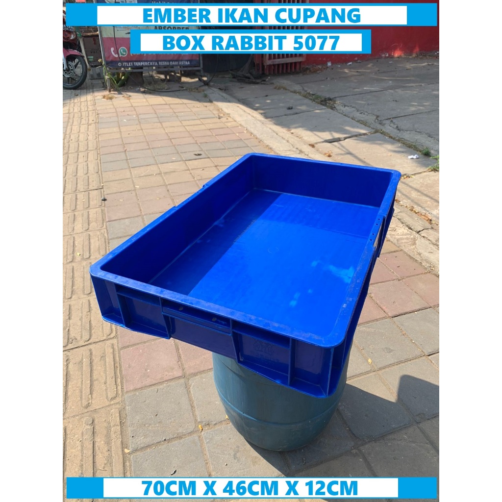 Jual Box Rabbit Kontener 5077 Bak Kura kura Kandang Magot Kandang ...