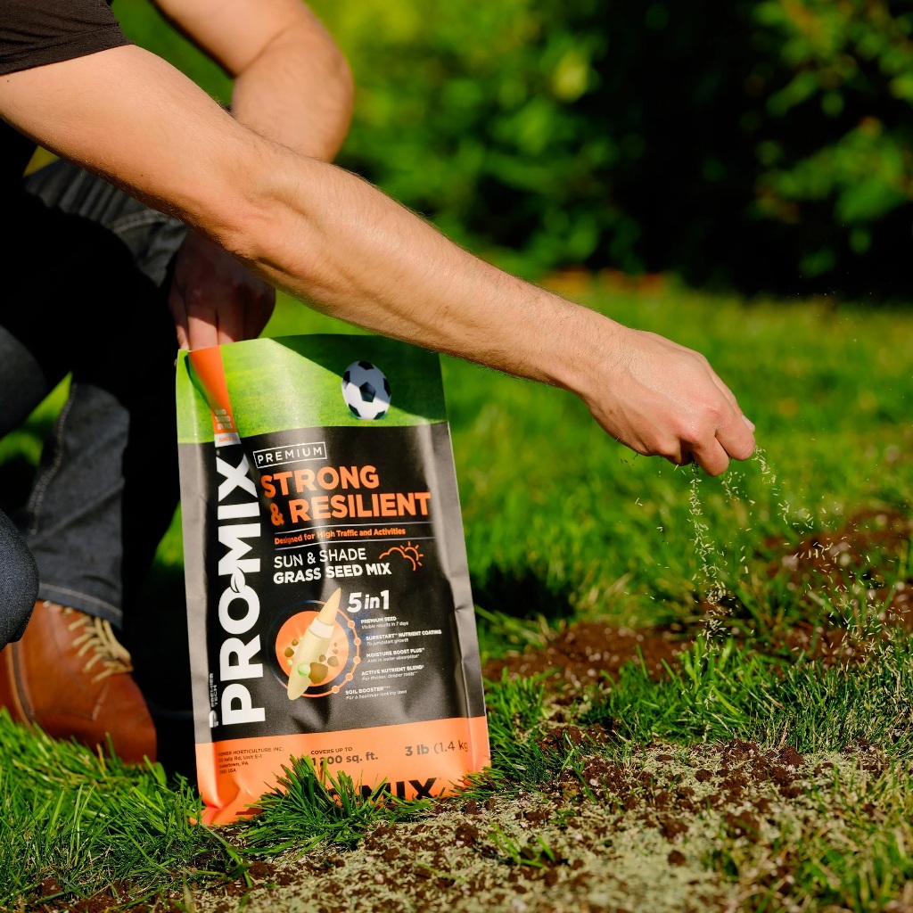 Jual PRO-MIX Premium Strong & Resilient Grass Seed Mix (Kemasan Repack ...