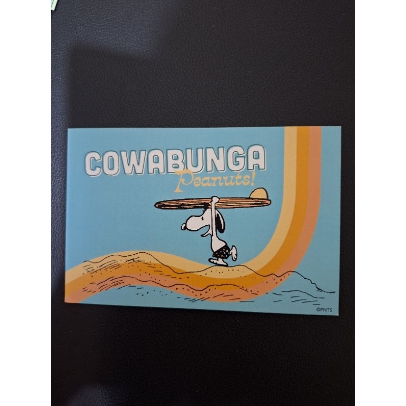 Jual kartu pos snoopy/snoopy postcard | Shopee Indonesia