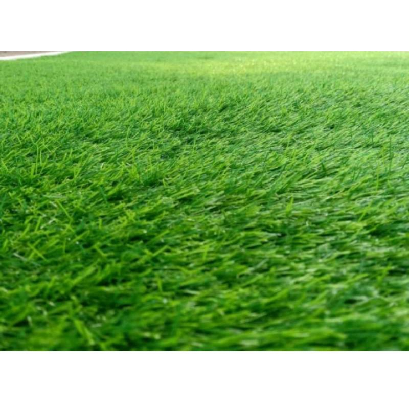 Jual KARPET RUMPUT SINTETIS TIPE SWISS 3CM | Shopee Indonesia