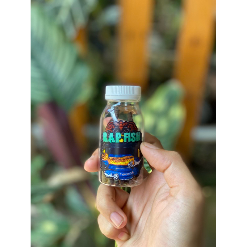 Jual Pellet RAP Fish (khusus limbata HF) (15gr) | Shopee Indonesia