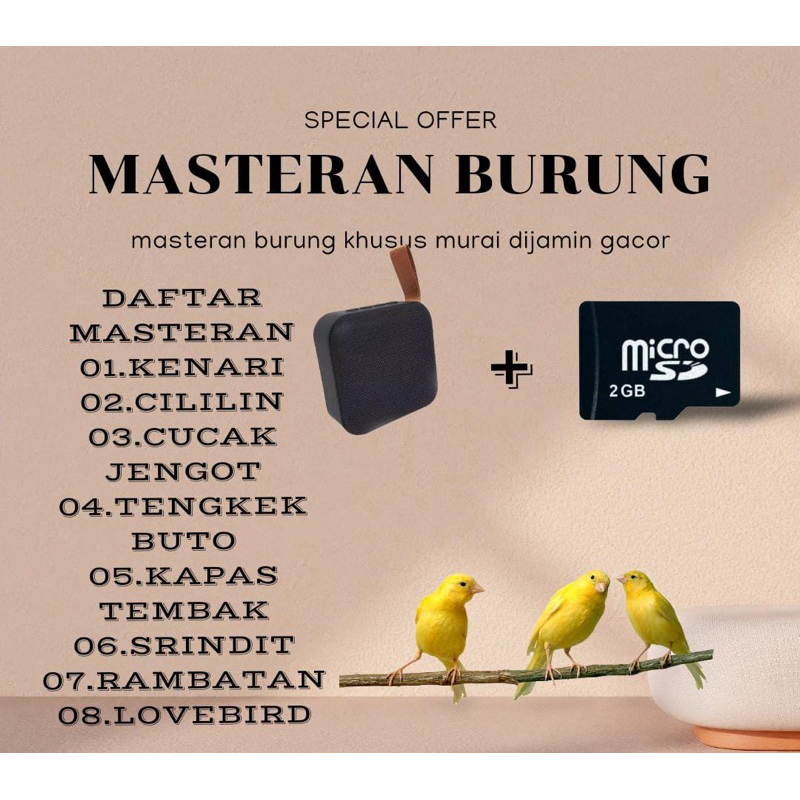 Jual Masteran Mp3 Khusus Burung Murai Kicau Suara Jernih | Shopee Indonesia