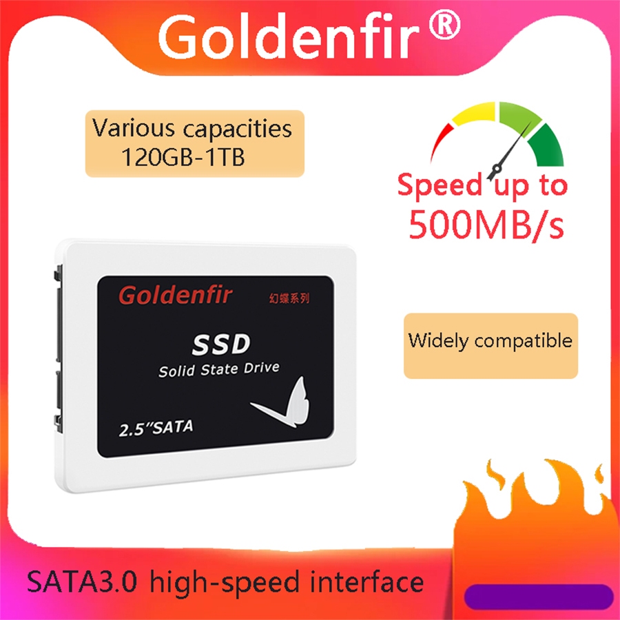 Jual Goldenfir SSD Black 120GB 256GB Built in Solid State Drive SATA3 ...