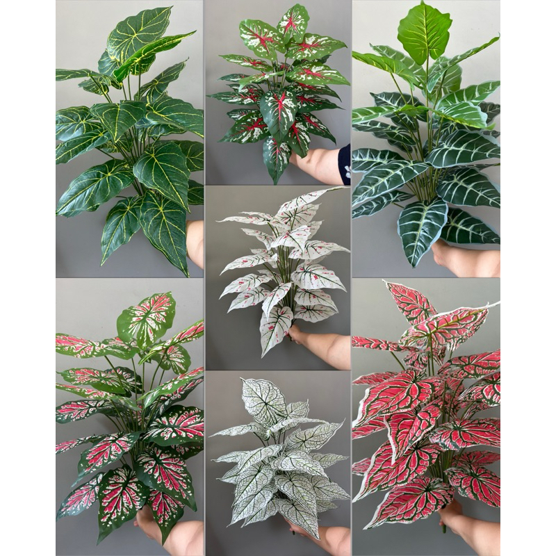 Jual TANAMAN ARTIFICIAL TALAS 24DAUN 85CM TANAMAN PLASTIK | Shopee ...