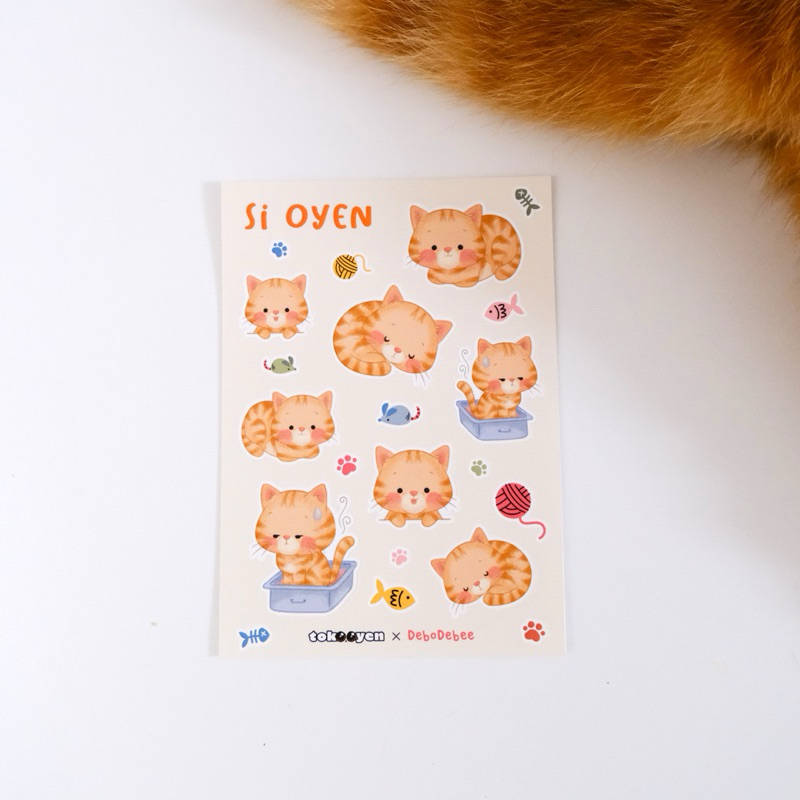 Jual Sticker Set Kucing Oyen Orcil (Oren Kecil) | Shopee Indonesia