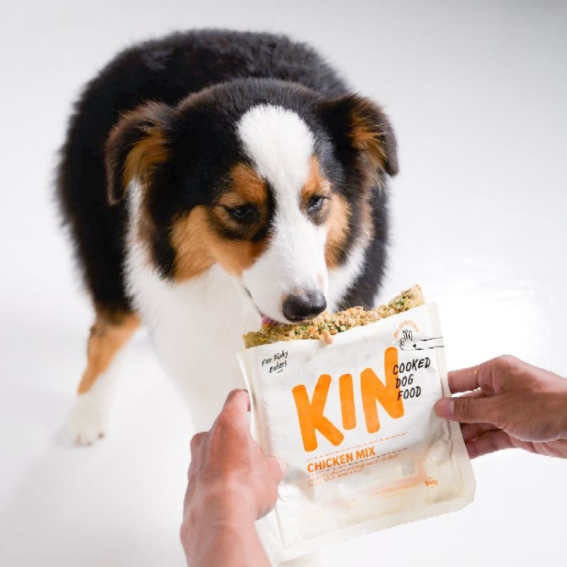 Jual Kin Dog Food - Chicken Mixer 500g | Shopee Indonesia