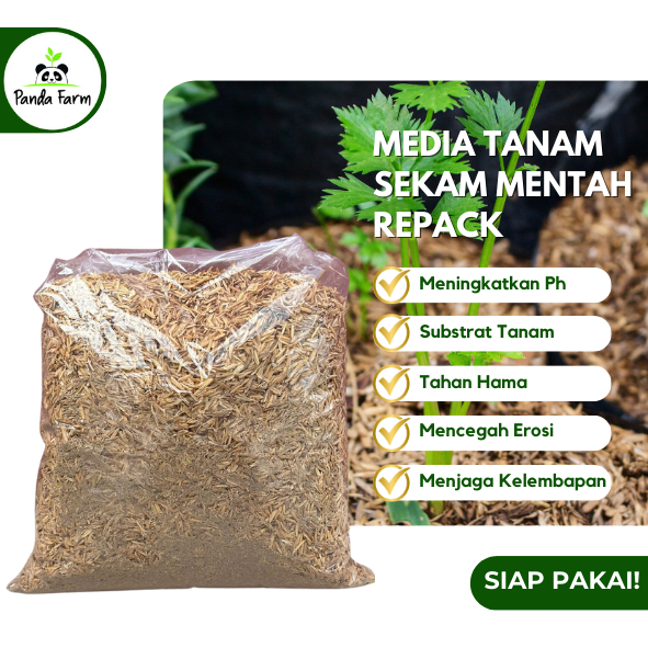 400gram Media Tanam Sekam Mentah Penggembur Tanah - repack