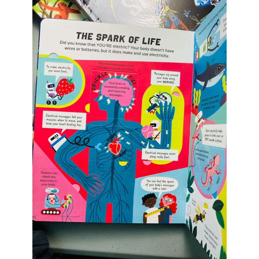 Jual [MAMAME] SEE INSIDE LIFT THE FLAP | Shopee Indonesia