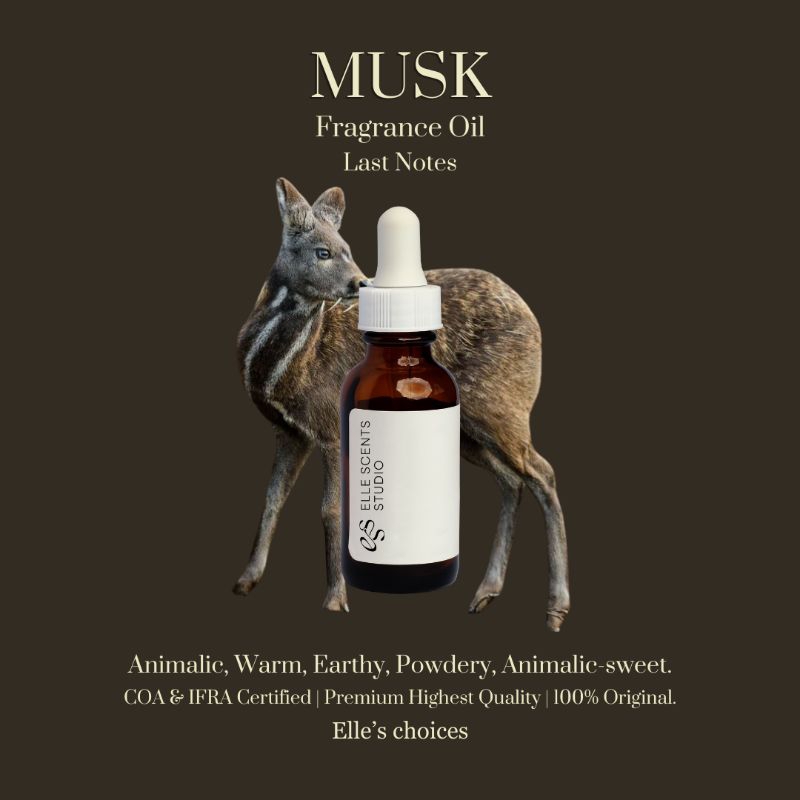 Jual MUSK Fragrance Oil | Shopee Indonesia