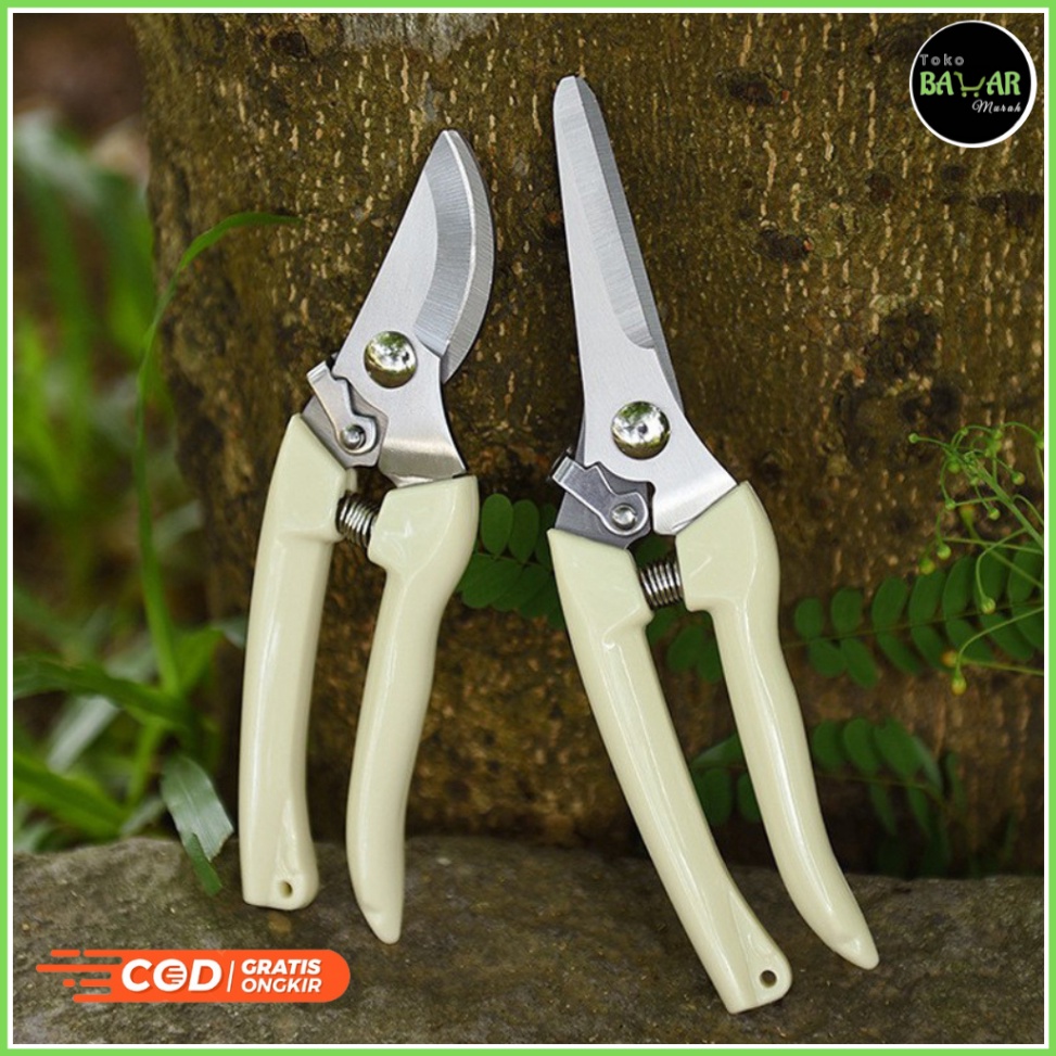 Jual Dear Gunting Dahan Ranting Pohon Gunting Dahan Gunting Tanaman ...