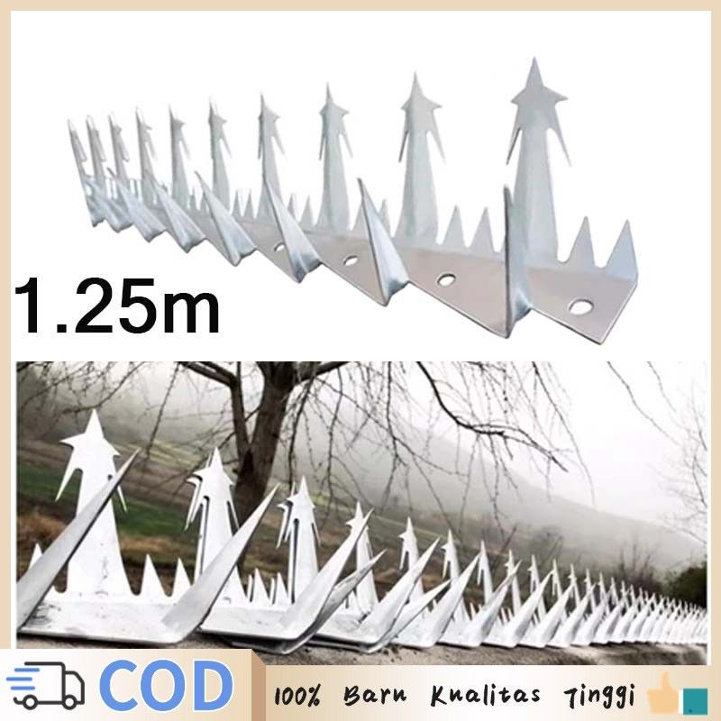 Wall Spikes