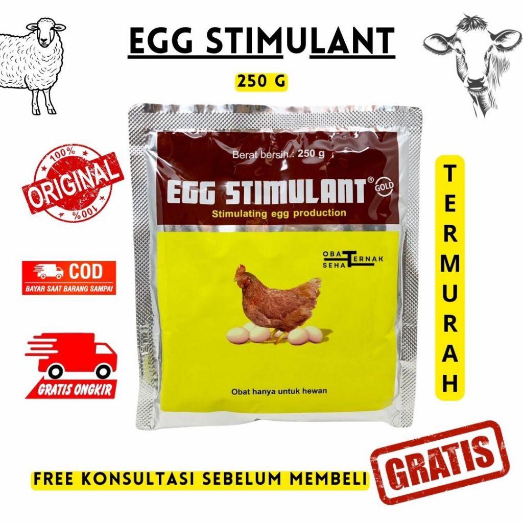 Jual Egg Stimulant 250 gr - MEDION - Vitamin Multivitamin Pemacu Pemicu ...