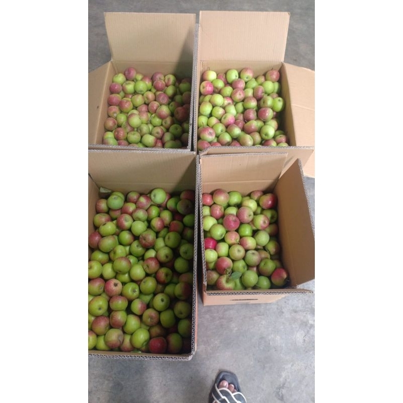 Jual Apel cery Rome Beauty/Malang berat 1kg | Shopee Indonesia