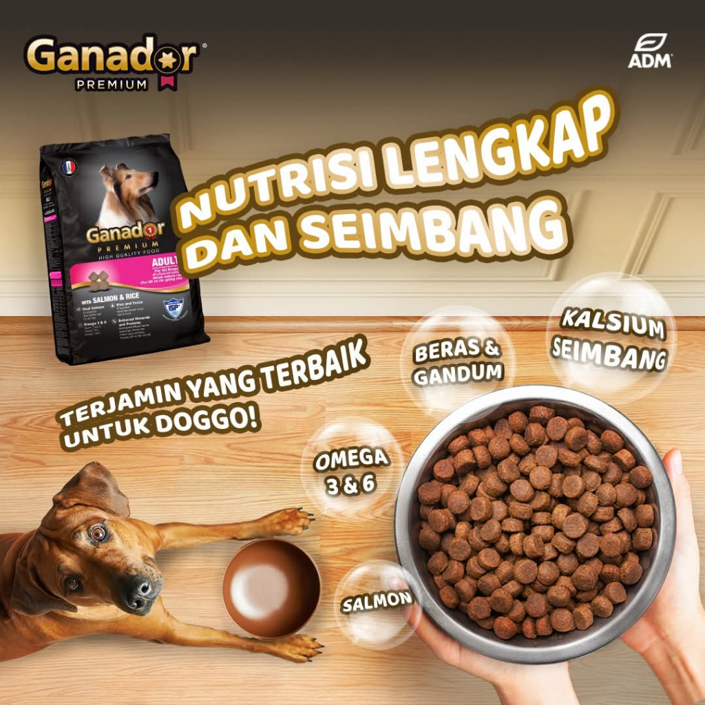 Jual Ganador Premium Adult Lamb & Rice Salmon & Rice 1.5 kg FREE ...