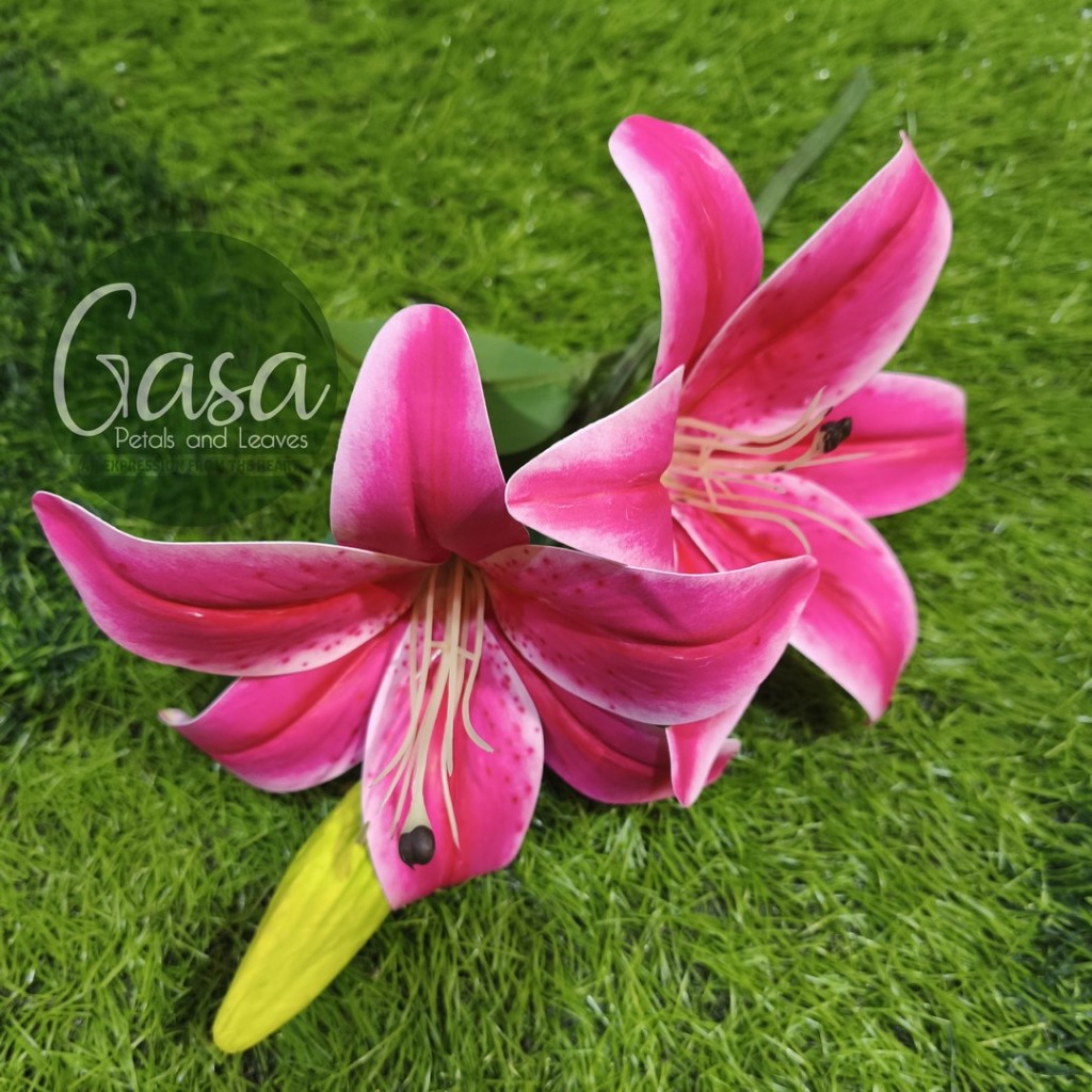 Jual Bunga Lily Kecil - Semi Lateks - Grade B - By. Gasa Petals and ...