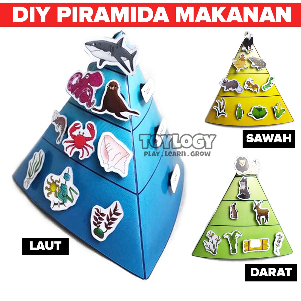 Jual DIY Anak Piramida Makanan Ekologi Hutan Laut Sawah Ekosistem