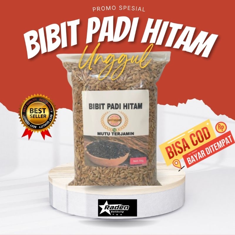 Jual padi hitam gabah padi kemasan 1 kg | Shopee Indonesia