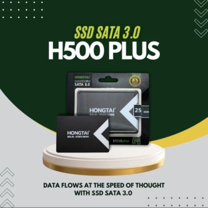 Jual SSD HONGTAI H500 Plus 128GB 256GB 512GB SATA 3.0 Garansi Resmi ...
