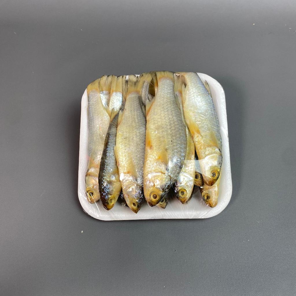Jual Ikan Asin Gresik Belanak Gerih Sindo Asin Kemasan 500gram | Shopee ...