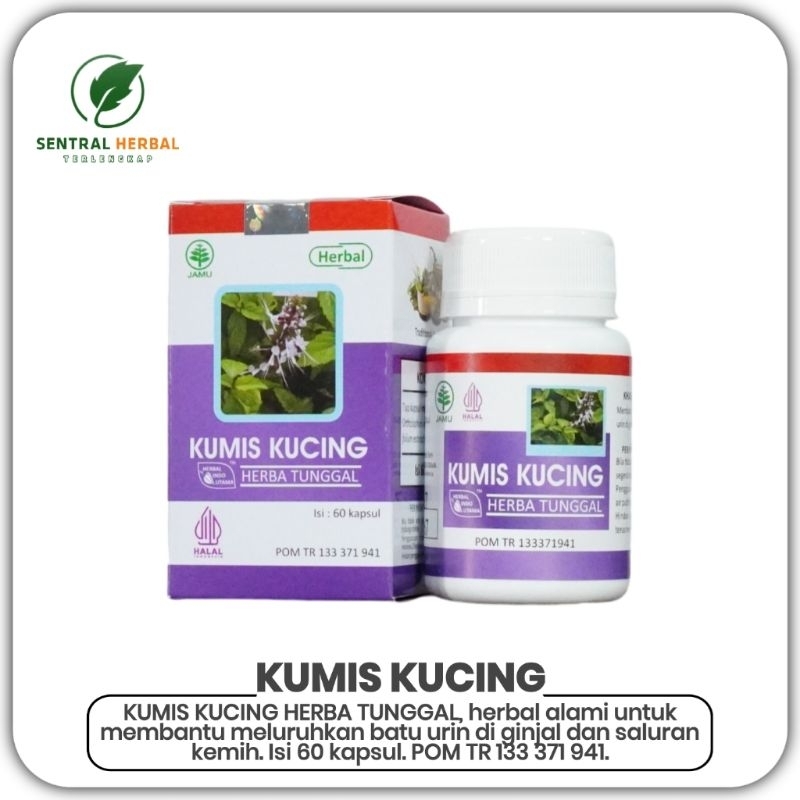 Jual Kumis Kucing Herbal Indo Utama Untuk Infeksi Saluran Kencing Isi