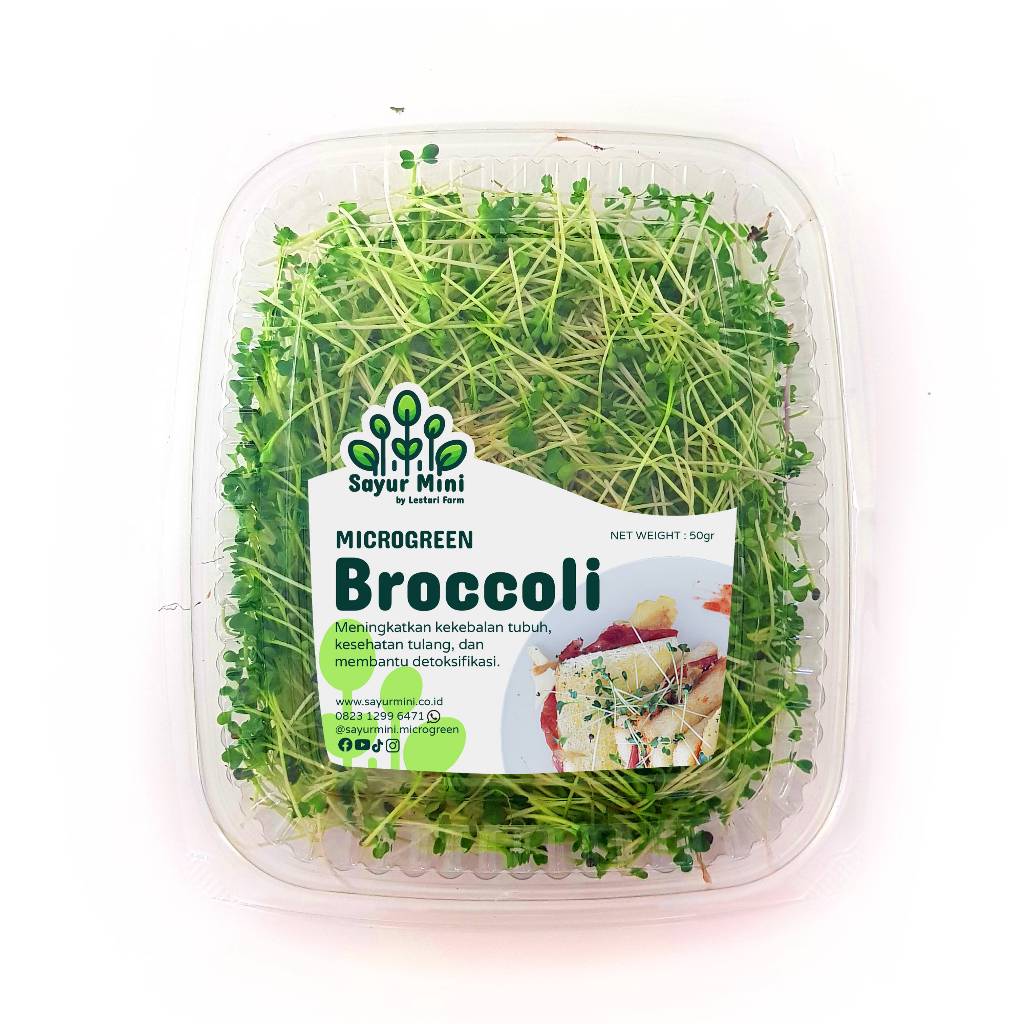 Jual Broccoli Terlengkap & Harga Terbaru Juli 2026 | Shopee Indonesia