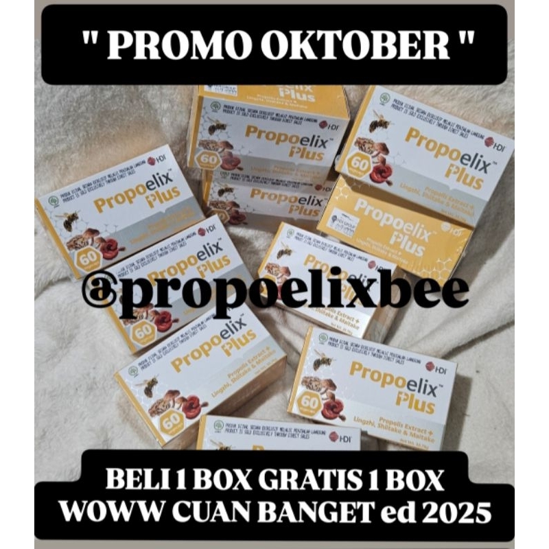 Jual PROMO!!! PROPOELIX PLUS 60 TAB SEGEL | Shopee Indonesia