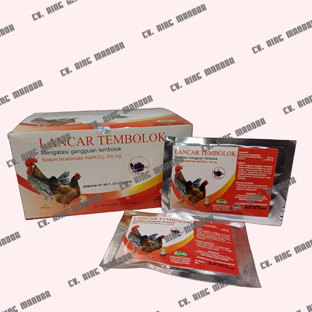 Jual LANCAR TEMBOLOK AYAM RAID ALL 10 KAPSUL | Shopee Indonesia
