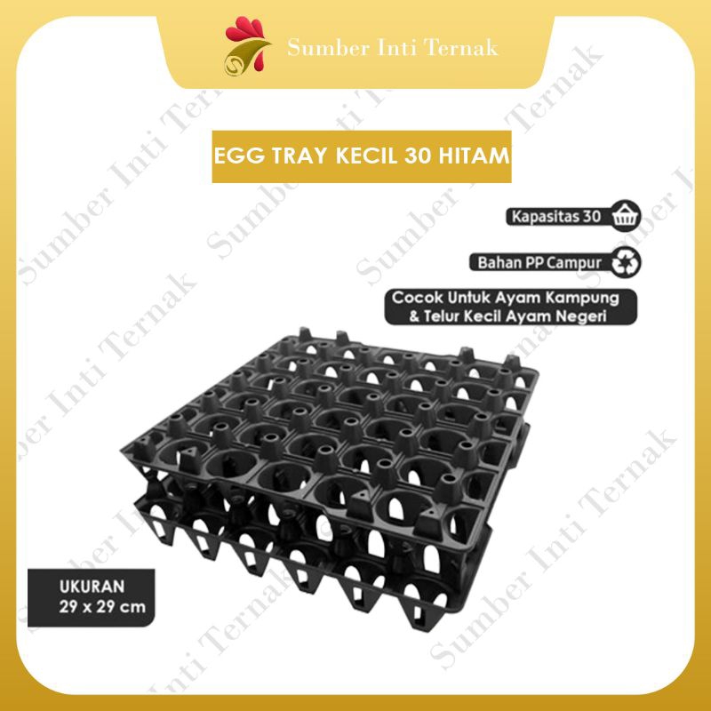 Jual 1 Rak Telur Isi Terlengkap & Harga Terbaru Juli 2026 | Shopee ...