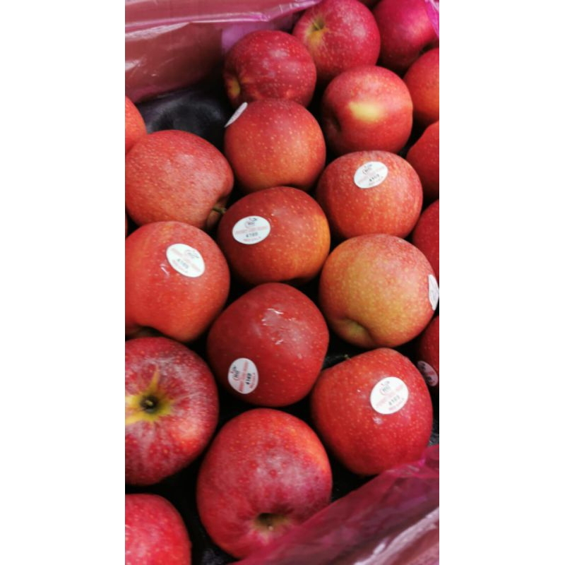 Jual Buah Apel Merah Washington manis | Shopee Indonesia