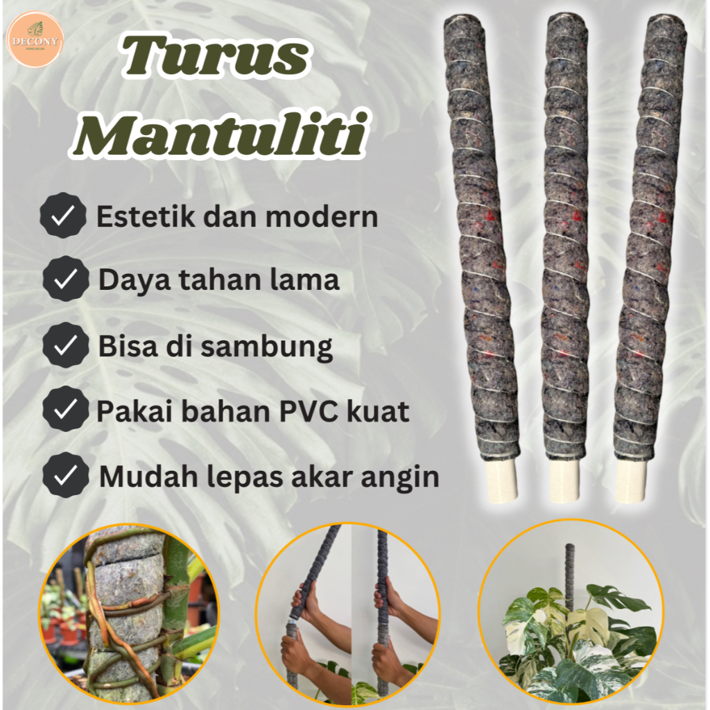 Jual Turus Mantuliti Berbagai Ukuran / Penyangga Tanaman Hias | Shopee ...