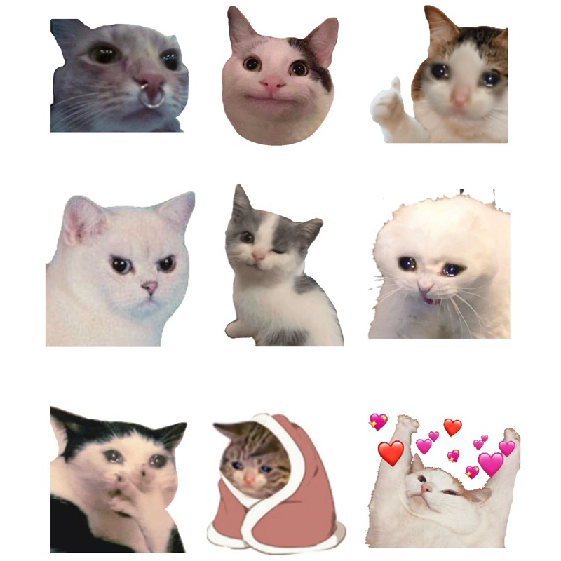 Jual Stiker Pack Meme Kucing Sedih Lucu Sticker | Shopee Indonesia